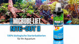 Microbe-Lift Nite-Out 2 236ml for Freshwater and Saltwater